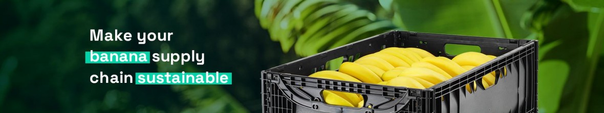 Reusable packaging solutions for Bananas