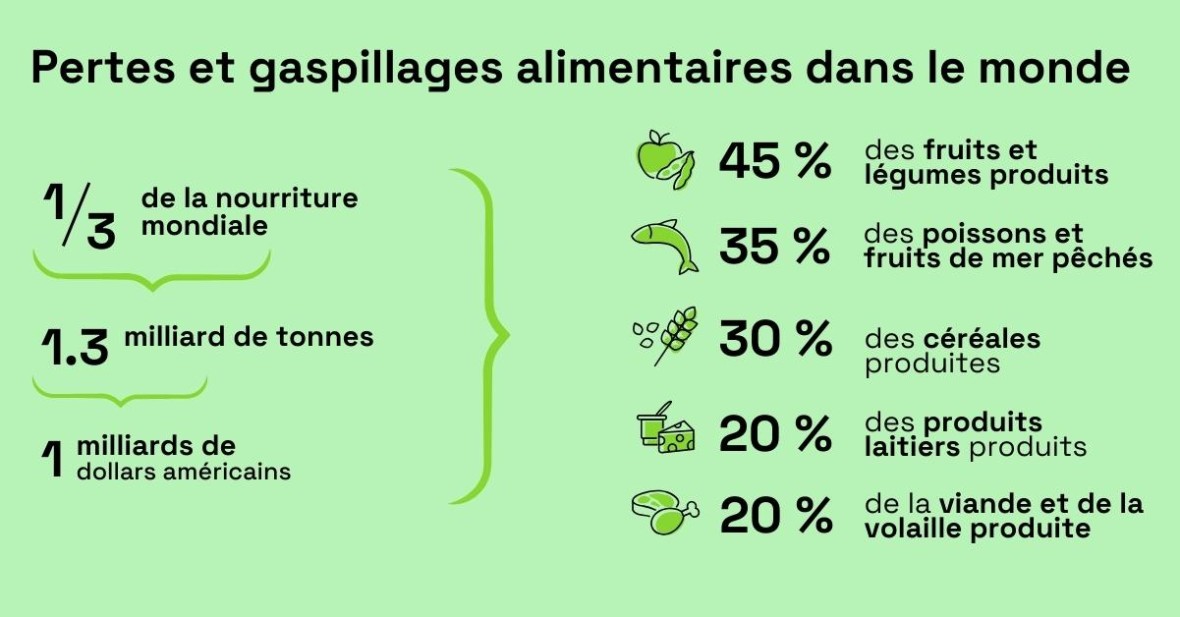 Étude sur le gaspillage alimentaire dans les foyers français