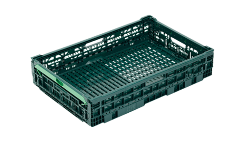 浅型 - Small size series - IFCO