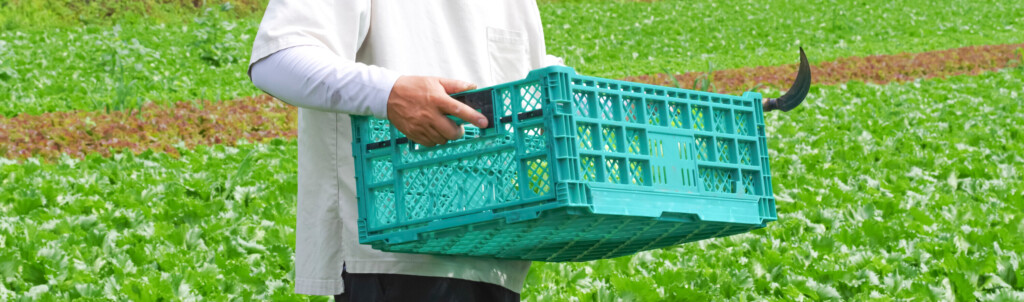 生産者のみなさまへ - IFCO