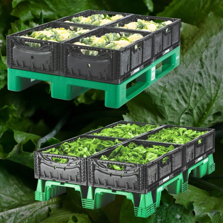 PPWR drives reusable plastic pallets for fresh food - IFCO