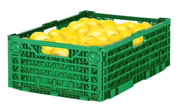 Green Plus - Reusable packaging for fruit and vegetables - IFCO